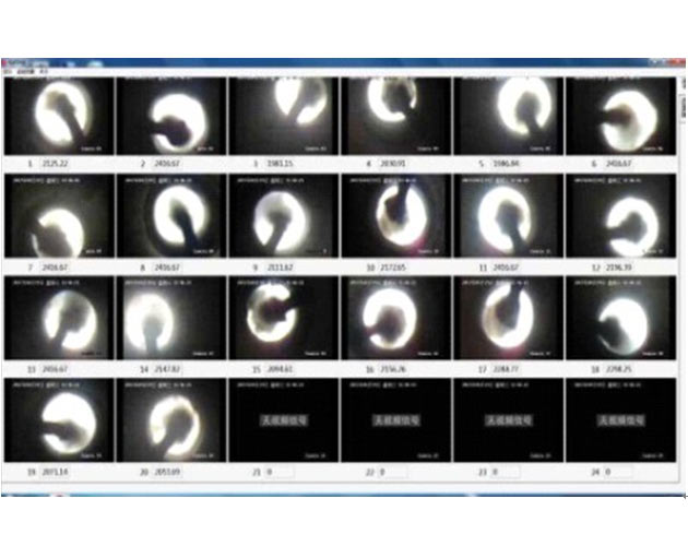 Blast furnace tuyere imaging system